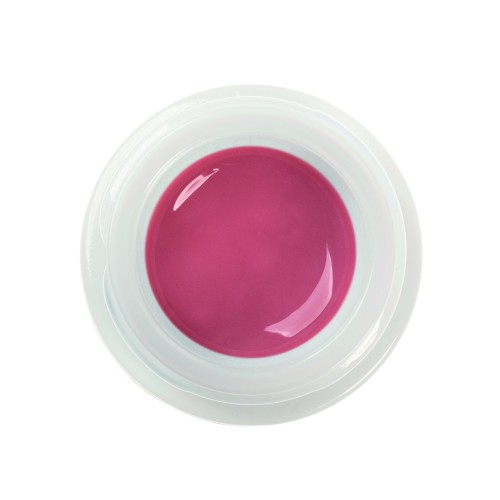 Initial IQ Lustre Pastes GUM
 Couleur-G-24 (4g)