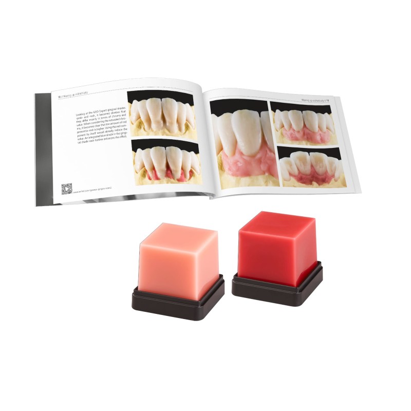 Set GEO Expert Gingiva