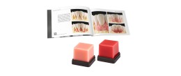 Set GEO Expert Gingiva